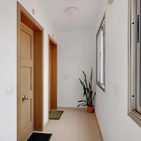 Apartment Atico Olia